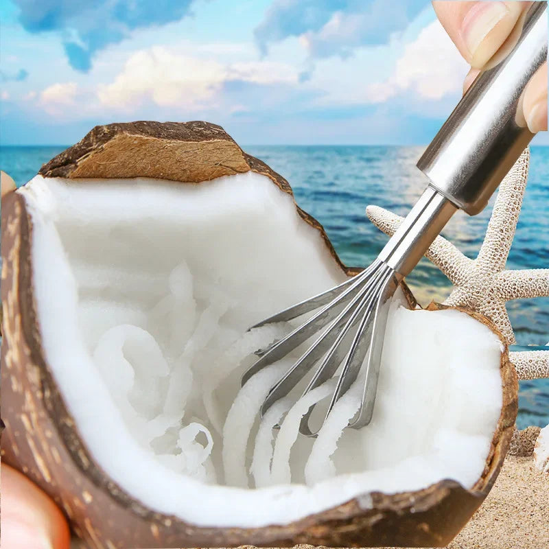 Coconut Meat Scraper Stainless Steel Coconut Planer Coconut Meat Planer Eating Coconut Meat Artifact Fish Scale Planer